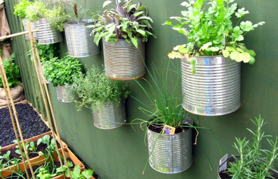 home information-container gardening-home improvement ideas