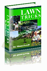 home information-lawn-home improvement ideas