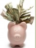 Family Frugal Living