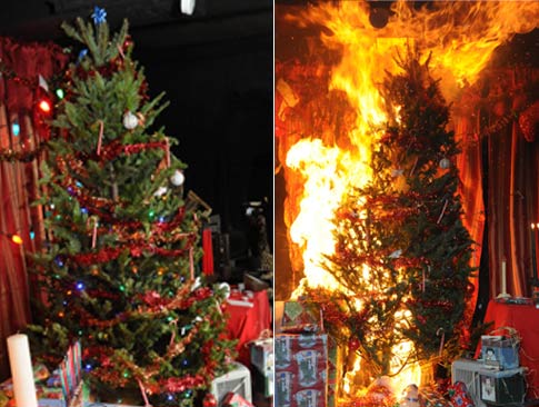 Ways To Protect Yourself From Christmas Tree Fires? - Home Information ...