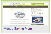 thrifty and frugal living-home information