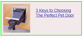 3 keys to choosing the perfect pet door