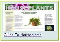 house plants and bonsai gardening-information guru