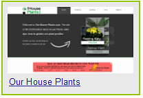 house plants and bonsai gardening-home information guru