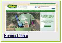 Flowers, Plants, Shrubs, & Trees-information guru