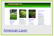 Lawn Care, Edging, & Ground Cover