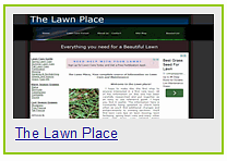 Lawn Care, Edging, & Ground Cover