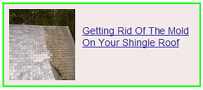 getting rid of the mold on your shingle roof