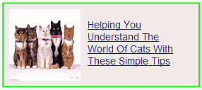 helping you understand the world of cats with these simple tips