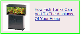 how fish tanks can add to the ambiance of your home