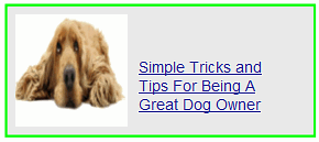 simple tricks and tips for being a great dog owner