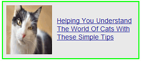 helping you understand the world of cats with these simple steps