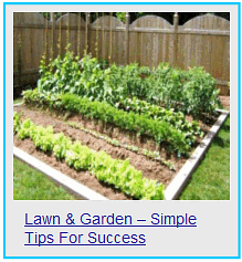 lawn & garden simple tips for success