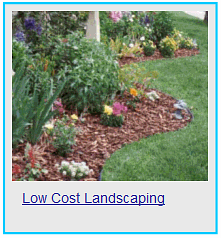 low cost landscaping