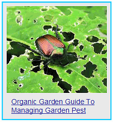 organic garden guide to managing garden pest