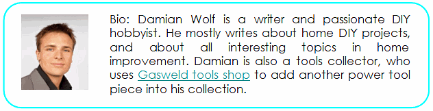 damian wolf authors box-home improvement