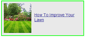 how to improve your lawn