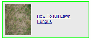 how to kill lawn fungus